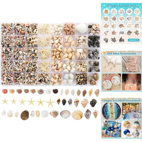 1200pc tiny sea - tiny, shells