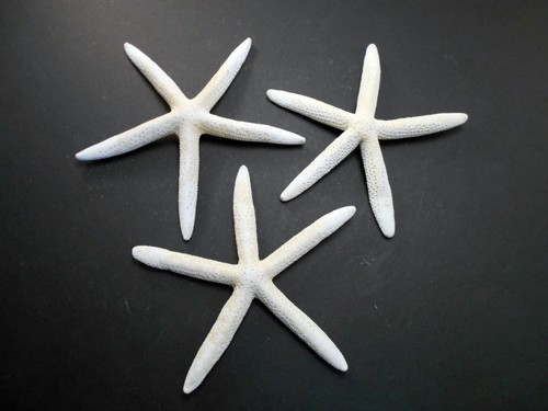 Large white pencil - 3,