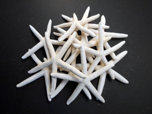 Large white pencil - large,