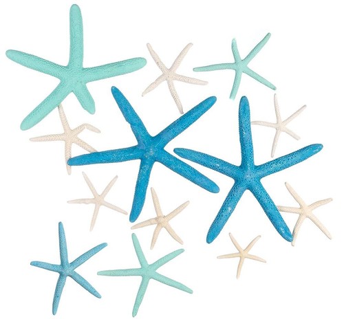 Starfish decor star fish for - star,
