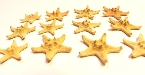 Small knobby tan brown - x-small, /