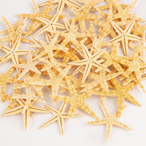 Pcs starfish for - 50,