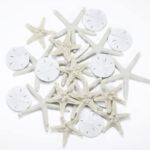 Pieces starfish assorted - 24,