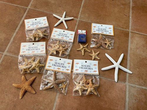Lot starfish assortment - lot,